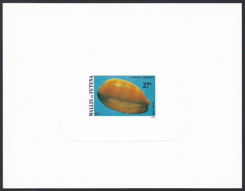Wallis & Futuna Sc291 Seashell, Sea Snail, Cypraea carneola, Deluxe Proof - Image 1 of 1