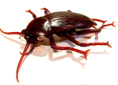 Giant Cockroach Or Centipede Prop Insect Bug Halloween Decoration Horror Beetle - Image 1 of 2
