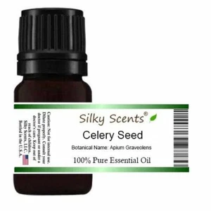 Celery Seed Essential Oil (Apium Graveolens) 100% Pure and Natural - Picture 1 of 14