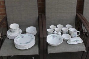 Pfaltzgraff Grapevine 39 Piece Set service for 7+ and extra pieces - Picture 1 of 7