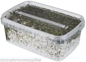 Magic Farm's Oyster PF-tek Pilzzuchttopf nur Substratset (atmungsaktiv) - Bild 1 von 4