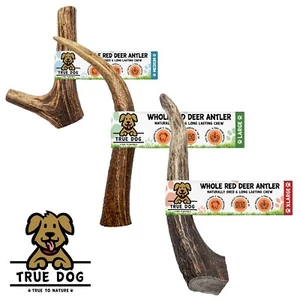 Whole Wild Antler Dog Chews - Medium, Large, XL - 100% Natural Dog Chewing Treat - Picture 1 of 28