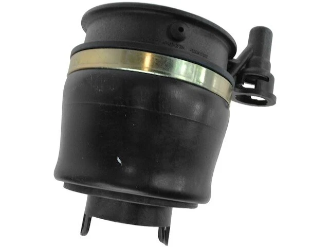 Muelle neumático delantero para Ford Expedition 2004 2005 2003-2006 NW444QB Foto 1 de 1