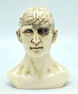 Phrenology Head 6" Statue Figurine Science Psychology Medical History 🎆 - Picture 1 of 1