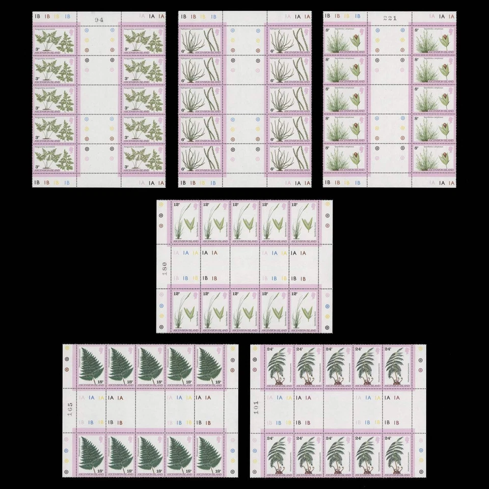 Блоки желобов папоротников и трав Ascension 1980 (MNH) - Изображение 1 из 1