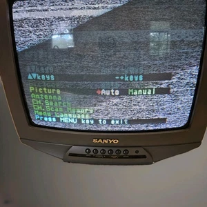 Sanyo Model: DS13390 13,5 Zoll Retro Gaming Röhrenfernseher - ohne Fernbedienung - getestet/funktioniert - Bild 1 von 8