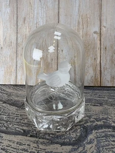 Hofbauer Byrde Käfig Byrdes Crystal Collection Sammlerstück Vogel im Glaskäfig - Bild 1 von 7