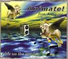 Animate! feat. Antigone - Ride On The Music - CDM - 1996 - Eurohouse 6TR