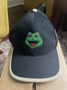 Froggy 101 Adjustable Hat - Picture 1 of 3