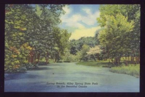 Water View of Alley Spring State Park Eminence Missouri Vintage Unused Postcard - Imagen 1 de 1