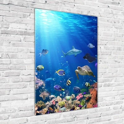 Wandbild Druck auf Plexiglas® Acryl Hochformat 70x100 Korallenriff - Bild 1 von 4