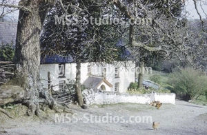 PANTYCELYN, Llanfair-ar-y-Bryn 1960 (35mm Dia) Carmarthenshire - Bild 1 von 2