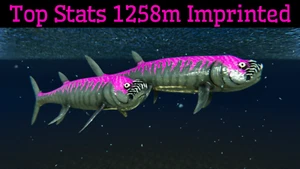 ARK Survival Ascended PvE Top Stats Playboy Xiphactinus 1051m PC/XBOX/PS5 ASA - Picture 1 of 6