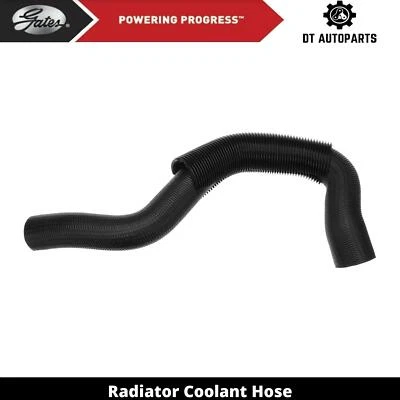 For 1996-2005 GMC Safari 4.3L V6 GAS Radiator Coolant Hose Lower Gates 1997 1998 - Image 1 of 4