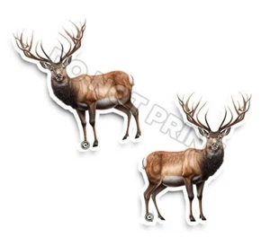 BUCK Vinyl Aufkleber Hirsch NATUR Toll Outdoor DOE ANIMAL AUFKLEBER C35010 2er-Pack - Bild 1 von 2