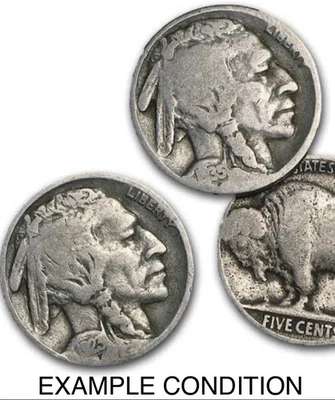 Lot of 240 Buffalo Nickels P D S Mixed Dates Unsorted 6 ROLLS PARTIAL DATE COINS - Image 1 of 2