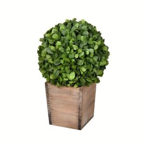 Vickerman 16" Artificial Potted Boxwood Ball In Wooden Pot
