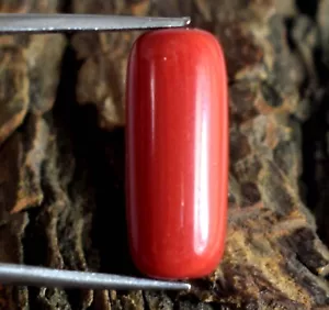10,25 ct/19 mm Italienische Rote Koralle Natürlicher Zylindrischer Edelstein Zertifiziert B89402 - Bild 1 von 8