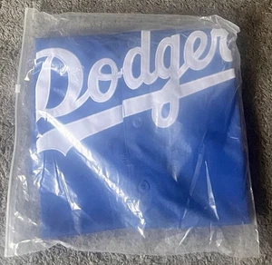 MLB|Los Angeles Dodgers|Shohei Ohtani|M (Nike/Alternate 2 Jersey) - Picture 1 of 7