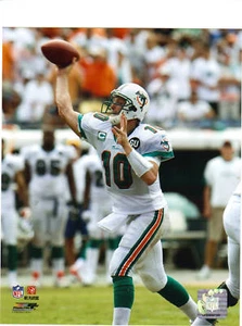 CHAD PENNINGTON Unsigned 8 X 10 PHOTO DOLPHINS - Picture 1 of 1