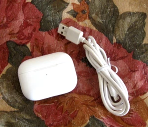 Genuine Replac. Apple Airpods Pro A2190 (1st gen) Charging Case & Charger Cable - Picture 1 of 3