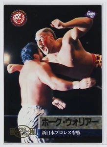 Tarjeta coleccionable HAWK WARRIOR - 1995 BBM Pro-Wrestling - Imagen 1 de 3