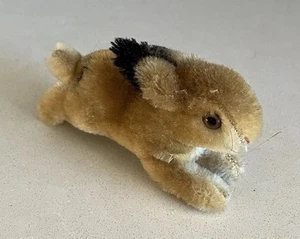 Steiff? Mini animal mohair conejo lúpulo sin etiqueta Alemania vintage años 50 LEER - Imagen 1 de 9