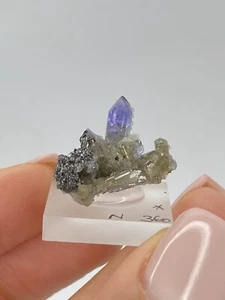 TANSANIT Matrix Stufe (2.8gr) Roh Tanzanite Crystal rough - Bild 1 von 4