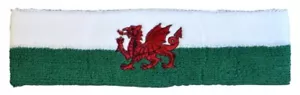 Stirnband Wales 6x21cm Schweißband für Sport Headband - Picture 1 of 1
