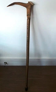 NATIVE AMERICAN INDIAN : WALKING STICK WITH DEER ANTLER HANDLE . (CCB) - Picture 1 of 4