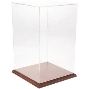 Plymor Vetrina Acrilica Trasparente con Base in Legno Duro, 9" x 9" x 14" - Foto 1 di 1