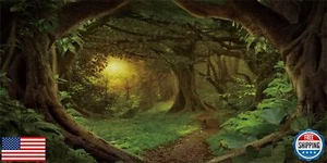 AWERT 30x12 inches Psychedelic Forest Terrarium Background Dim Old Trees Wood - Picture 1 of 3