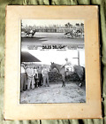 horse racing HIALEAH PARK RACE TRACK original vtgn 1957 PHOTO "Dale