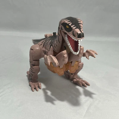 Transformers Beast Wars Maximal Raptor Dinobot Deluxe Hasbro - Image 1 of 4