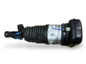 Puntal muelle neumático, trasero derecho 37106869040 BMW X7 G07 - Imagen 1 de 5