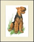 WELSH TERRIER SEATED DOG CHARMING DOG PRINT MOUNTED READY TO FRAME