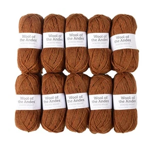 Wool of The Andes Yarn Pack - 10 Skeins of Brown 100% Wool Worsted Weight Yar... - Bild 1 von 4
