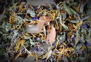 MEZCLA DE HIERBAS BRUJAS Olla podrida Wicca Protección Pagana Brujería - Imagen 1 de 5