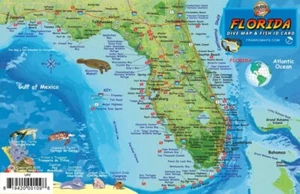 Florida State Dive Map & Reef Creatures Guide Laminated Fish Card by Franko Maps - Imagen 1 de 2
