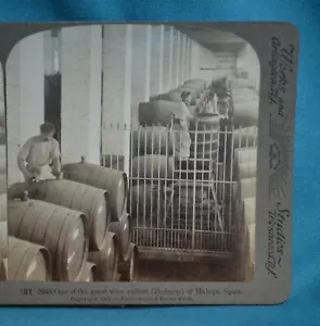 Stereoview Foto España Málaga Una de las Grandes Bodegas Bodegas Bajo Madera - Imagen 1 de 3