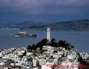 Luftaufnahme von Coit Tower & Alcatraz, San Francisco, CA - Vintage Fotodruck - Bild 1 von 1