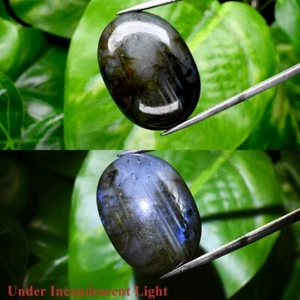 Big! 38.63ct Oval Cabochon Natural Rainbow With Luster Labradorite Gemstone - Picture 1 of 6