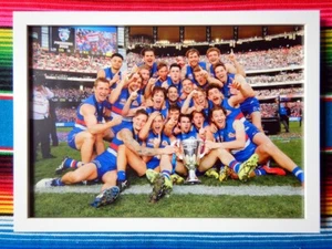 Póster enmarcado 2016 Western Bulldogs AFL Premiers - 62 cm x 44,5 cm x 3 cm - Imagen 1 de 2