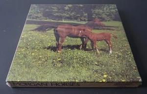 Morgan Horses Eaton Puzzle The Treasure Collection 500 Teile 1979 Vintage **LESEN - Bild 1 von 13