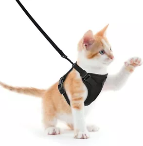 Arnés reflectante NOBLEZA CAT NEGRO Talla S #1 - Imagen 1 de 8