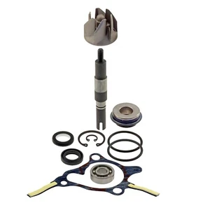 KIT REVISIONE POMPA ACQUA HONDA FORESIGHT 250 1998 - 2005 - Foto 1 di 3