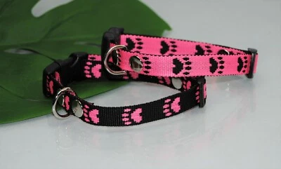 BULLYZEI Halsband Pink Pfötchen 15mm Jack Russel Chihuahua Welpenhalsband Malteser Pudel