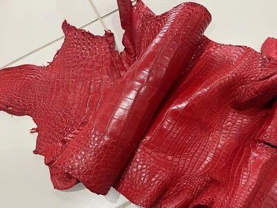 American Alligator pele inteira 5' 5" vermelho brilhante 32 cm - Imagem 1 de 4