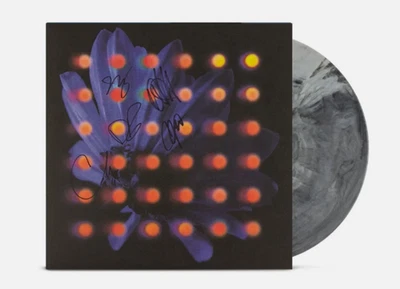 Anberlin Nevertake Grey Marble Signed Autographed Vinyl LP IN HAND - Imagem 1 de 2