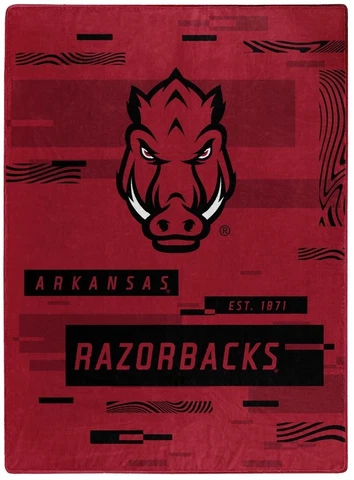 Arkansas Razorbacks NCAA 60'' x 80'' Raschel Throw Blanket-W11694614789 Cover